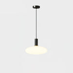 Milky Glass Pendant Light with Brass Hardware – Globe, Capsule or Oval